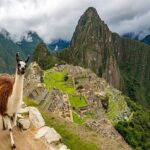 Página Oficial Para Comprar Entradas A Machu Picchu
