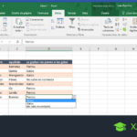 Colocar opciones en una celda de Excel | Guía paso a paso