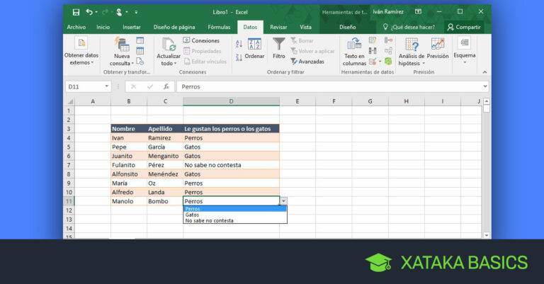 Colocar opciones en una celda de Excel | Guía paso a paso