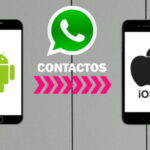 Permite a WhatsApp acceder a tus contactos: sigue estos pasos